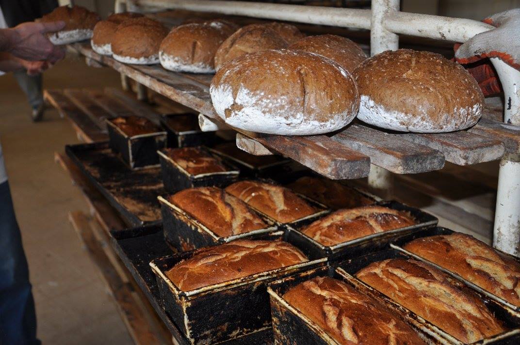 Zapraszamy na kurs wypieku chleba w Krakowie w Galicyjskiej Szkole Smaku